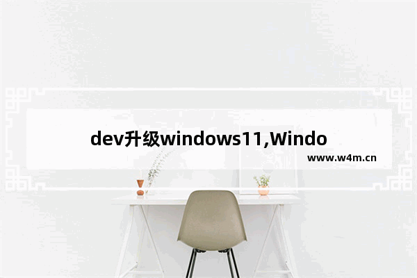 dev升级windows11,Windows11退出dev版本