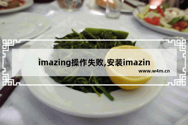 imazing操作失败,安装imazing操作超时