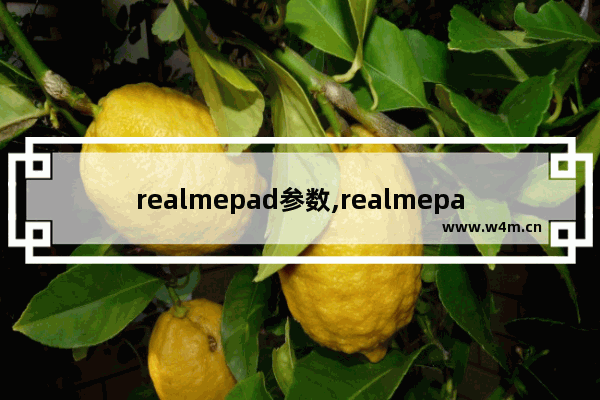 realmepad参数,realmepad配置