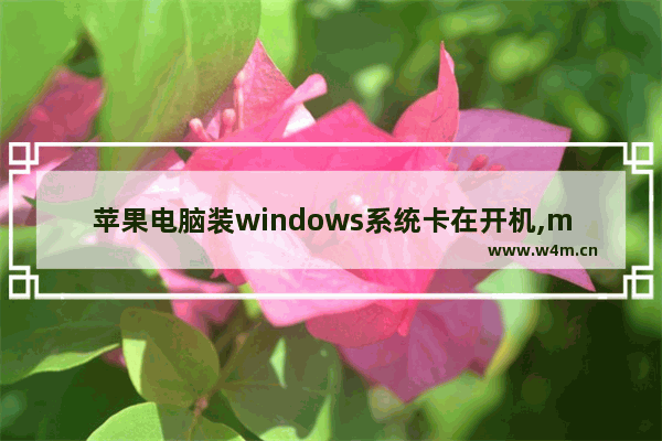 苹果电脑装windows系统卡在开机,mac装windows10卡住