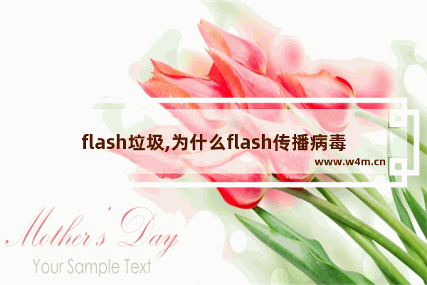 flash垃圾,为什么flash传播病毒