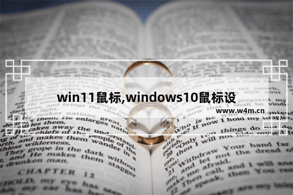 win11鼠标,windows10鼠标设置在哪