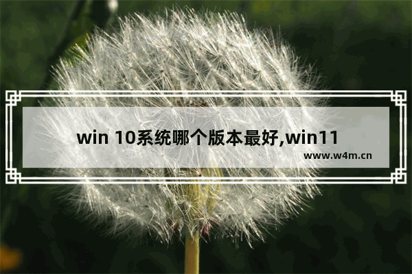 win 10系统哪个版本最好,win11装什么版本好