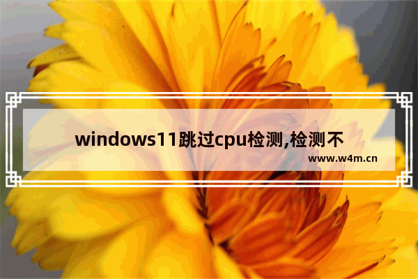 windows11跳过cpu检测,检测不到win11