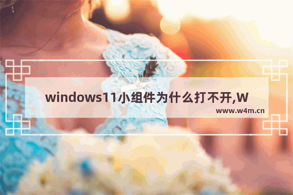 windows11小组件为什么打不开,Win11小组件显示不出来