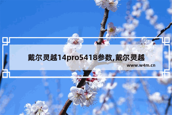 戴尔灵越14pro5418参数,戴尔灵越13pro配置