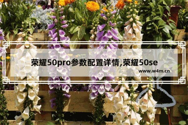 荣耀50pro参数配置详情,荣耀50se参数配置详情