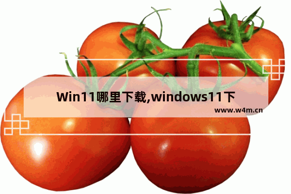 Win11哪里下载,windows11下载方法