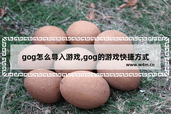 gog怎么导入游戏,gog的游戏快捷方式怎么添加