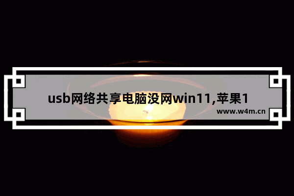 usb网络共享电脑没网win11,苹果11usb共享网络给电脑没反应