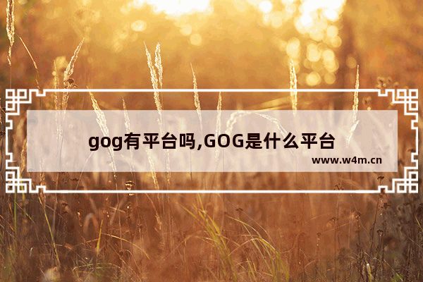 gog有平台吗,GOG是什么平台