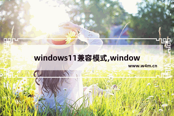 windows11兼容模式,windows 11兼容性