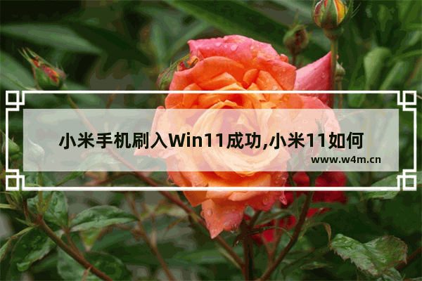 小米手机刷入Win11成功,小米11如何刷系统