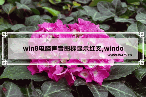 win8电脑声音图标显示红叉,windows7旗舰版声音显示红叉