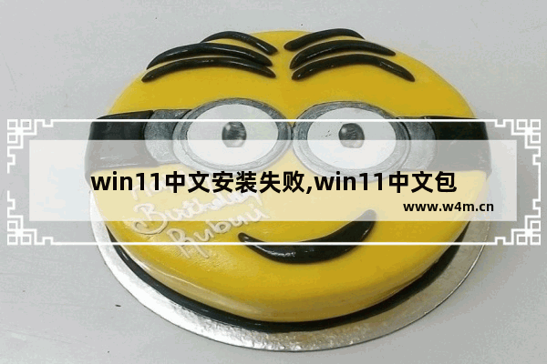 win11中文安装失败,win11中文包下载失败