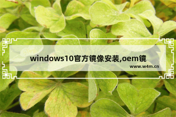 windows10官方镜像安装,oem镜像怎么安装