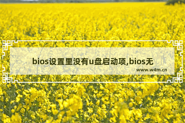 bios设置里没有u盘启动项,bios无法选择u盘启动