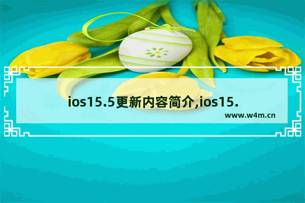 ios15.5更新内容简介,ios15.1更新内容