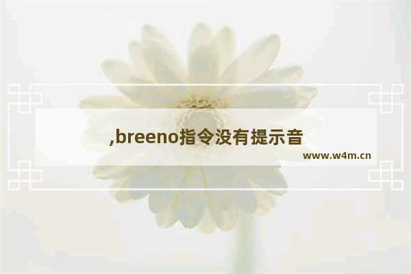 ,breeno指令没有提示音