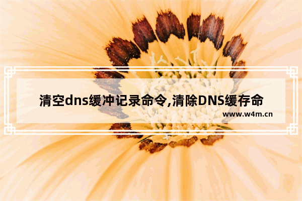 清空dns缓冲记录命令,清除DNS缓存命令