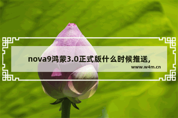 nova9鸿蒙3.0正式版什么时候推送,鸿蒙3.0正式版什么时候推送更新