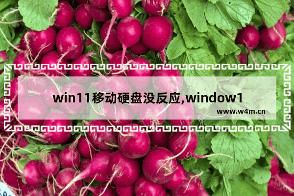 win11移动硬盘没反应,window10 移动硬盘不能安全退出怎么办