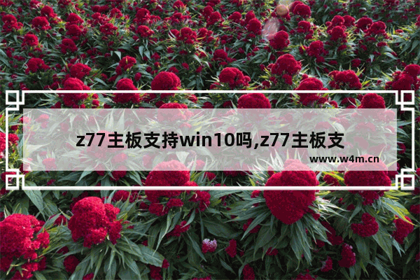 z77主板支持win10吗,z77主板支持哪些cpu