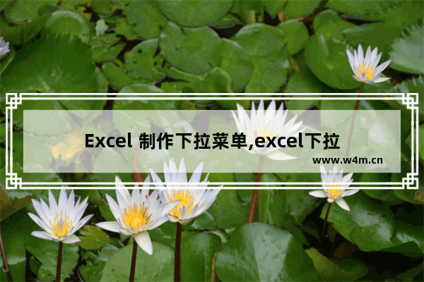 Excel 制作下拉菜单,excel下拉式菜单制作