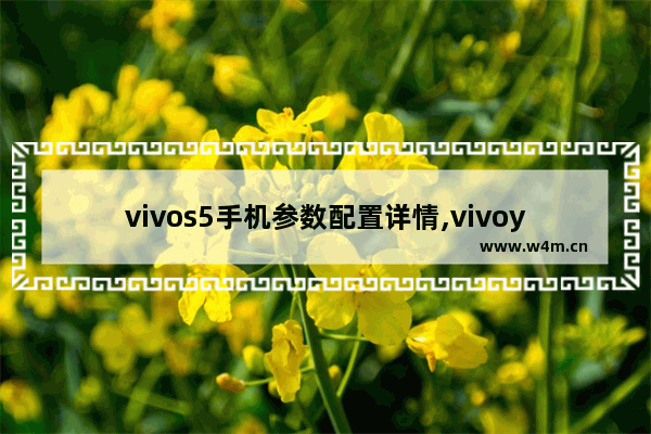 vivos5手机参数配置详情,vivoy5s配置参数表