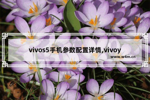 vivos5手机参数配置详情,vivoy5s配置参数表