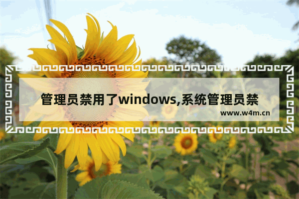 管理员禁用了windows,系统管理员禁用了windows功能怎么打开