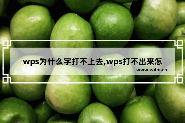 wps为什么字打不上去,wps打不出来怎么办