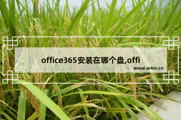 office365安装在哪个盘,office365只能安装在c盘