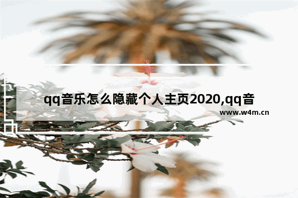 qq音乐怎么隐藏个人主页2020,qq音乐怎么隐藏个人主页什么时候出的