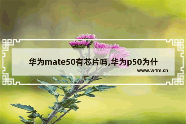 华为mate50有芯片吗,华为p50为什么不用麒麟芯片