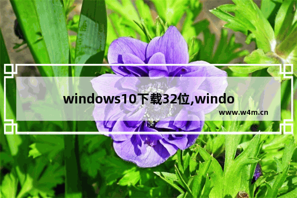 windows10下载32位,windows11系统32位下载