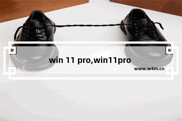 win 11 pro,win11pro n是什么版本