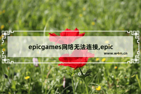 epicgames网络无法连接,epic启动器需要网络连接