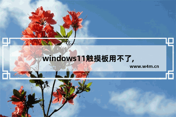 windows11触摸板用不了,