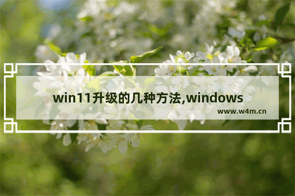 win11升级的几种方法,windows10升级11方法