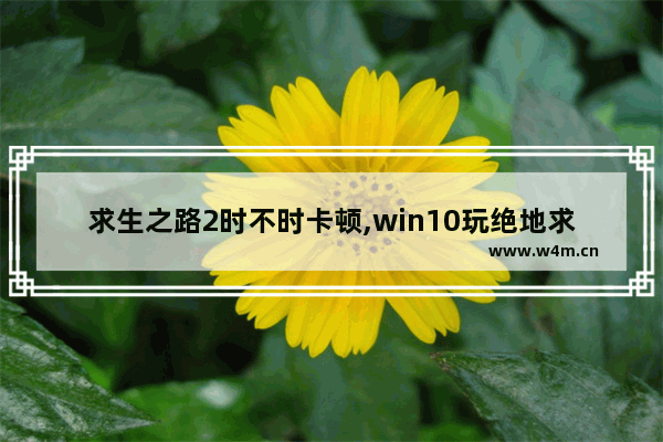 求生之路2时不时卡顿,win10玩绝地求生卡顿怎么解决