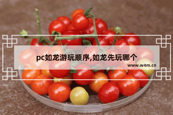 pc如龙游玩顺序,如龙先玩哪个