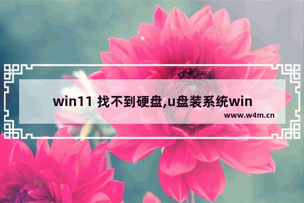 win11 找不到硬盘,u盘装系统win10找不到固态硬盘