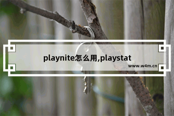 playnite怎么用,playstation模拟器