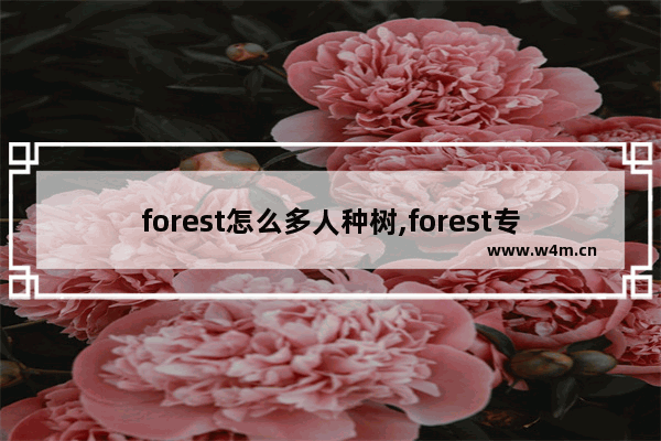 forest怎么多人种树,forest专注森林一个人种树