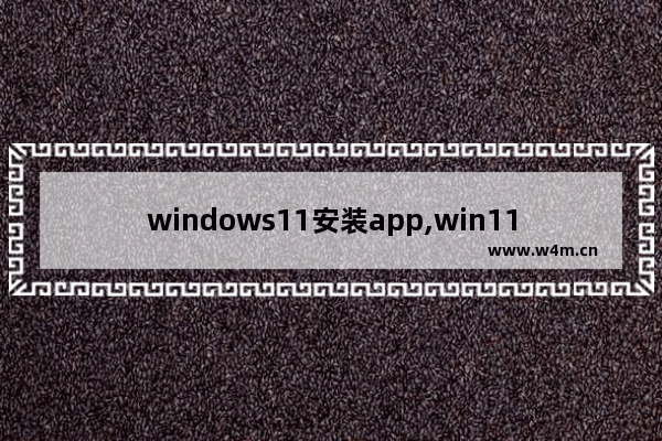 windows11安装app,win11支持所有app