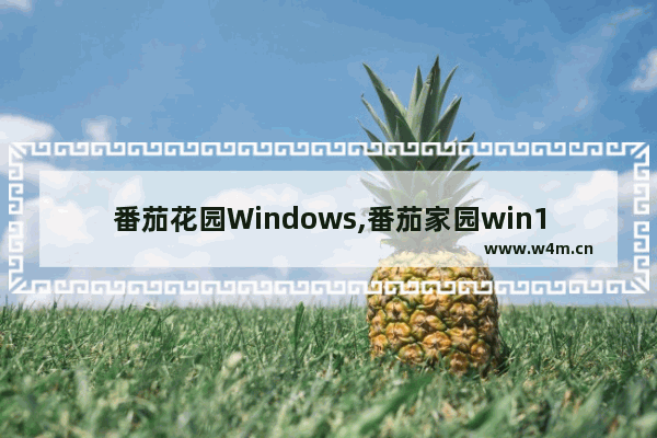 番茄花园Windows,番茄家园win10