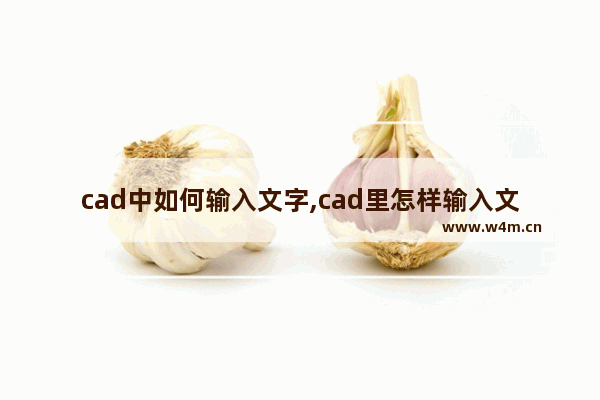 cad中如何输入文字,cad里怎样输入文字