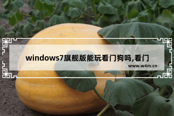 windows7旗舰版能玩看门狗吗,看门狗军团全程联网吗