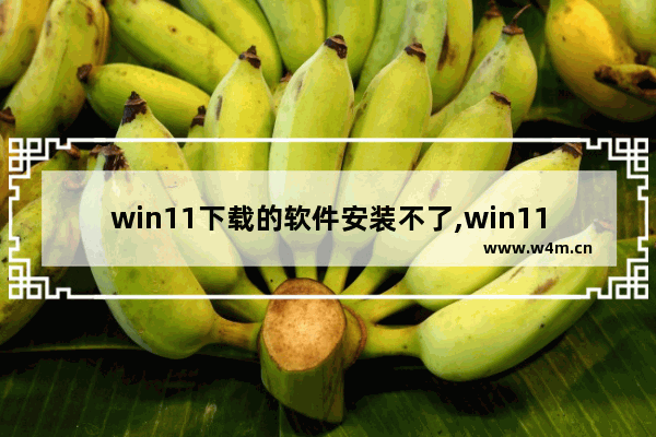 win11下载的软件安装不了,win11无法打开软件